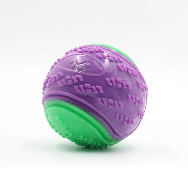 Interactive Squeaky TPR Dog Ball Toy