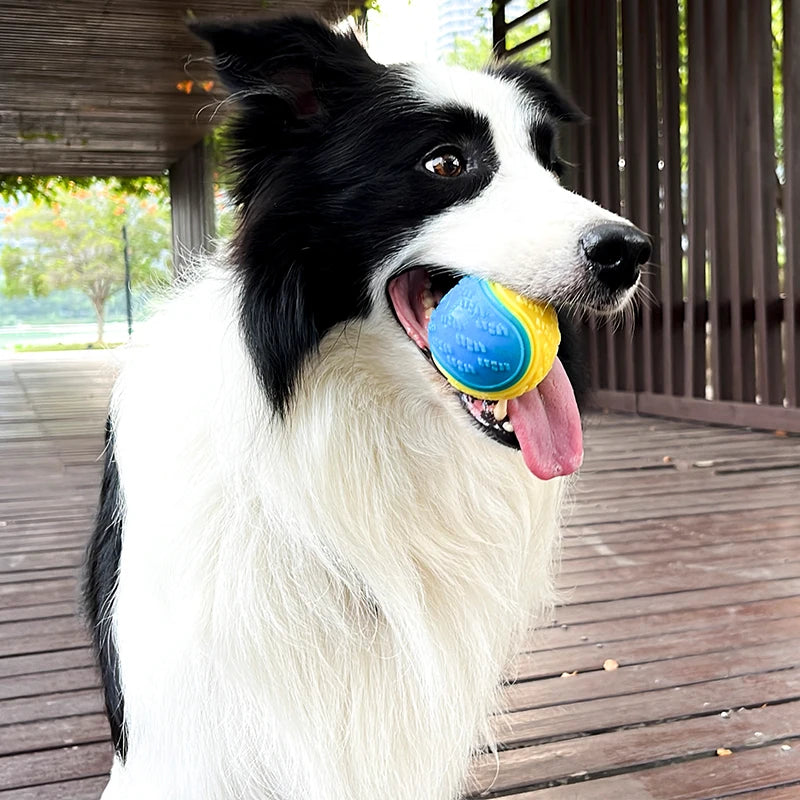 Interactive Squeaky TPR Dog Ball Toy