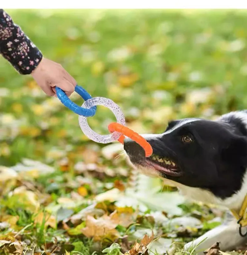 Interactive Dog Pull Rings Toy