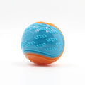 Interactive Squeaky TPR Dog Ball Toy